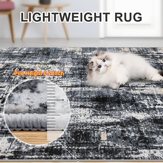 Area Rugs 10x14 Living Room - Image 6