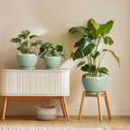 Ceramic Plant Pots 6 Inch, Ceramic Planter with Drainage, Green