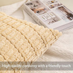 Pack of 2 Corduroy Decorative Throw Pillow Covers 18x18 InchSoft Boho Striped - Image 2