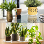 15 Pcs Plastic White Round Wave Plant Saucer,6 Inch/8 Inch/10 Inch,Durable Duty Flower Plant Pot Drip Tray Container for Home Garden Indoor and Out Door Plant