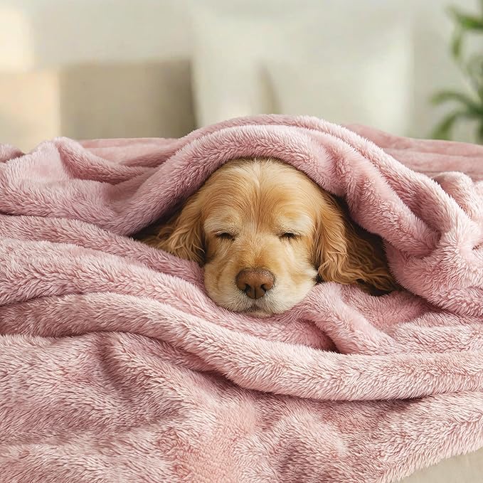 Exclusivo Mezcla Plush Fuzzy Fleece Bed Blanket Queen Size, Super Soft - Image 3