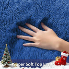 Ophanie 6x9 Blue Rugs for Living Room, Large Fluffy Shag Fuzzy Plush Soft Area - Image 2