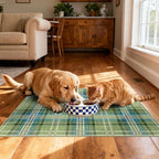 Front Door Mat Outside Entrance - Image 6