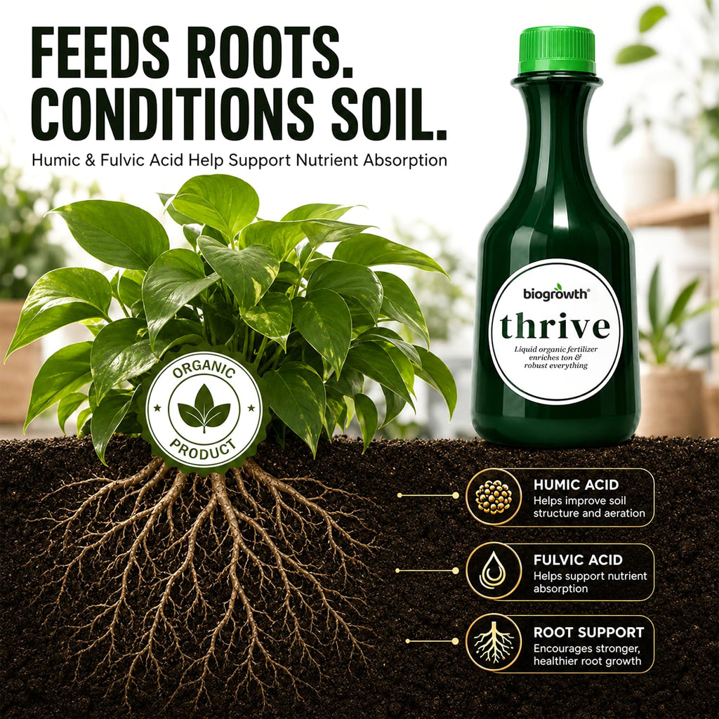 Thrive Root & Bloom Plant Food, Enzyme Blend, 8.45 oz
