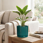Ceramic Planter, 6 Inch Pots for Plants with Tray, Blackish Green