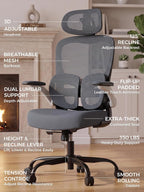 Ergonomic Office Desk Chair, Adjustable Dual Lumbar Support & Thick Seat