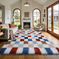 Shag Area Rug for Bedroom Living Room, 6x9 Fluffy Soft Colorful Checkered Rug by Boshengya