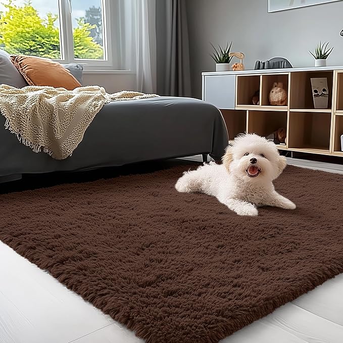 OLANLY 3x4 Machine Washable Accent Rug, Soft Fluffy Shaggy Area Rug by OLANLY