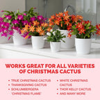 Christmas Cactus Fertilizer - Liquid Plant Food for More Blooms, 8 oz