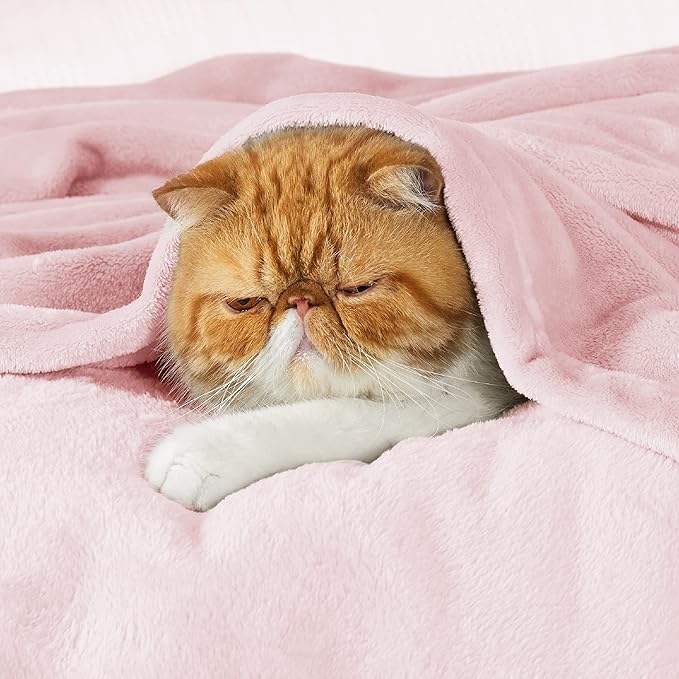 Bedsure GentleSoft Fleece Blanket Twin Size Pink - Image 2