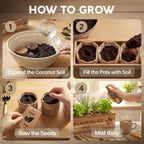 Indoor Herb Garden Kit, Herb Growing Kit for Kitchen and Windowsill