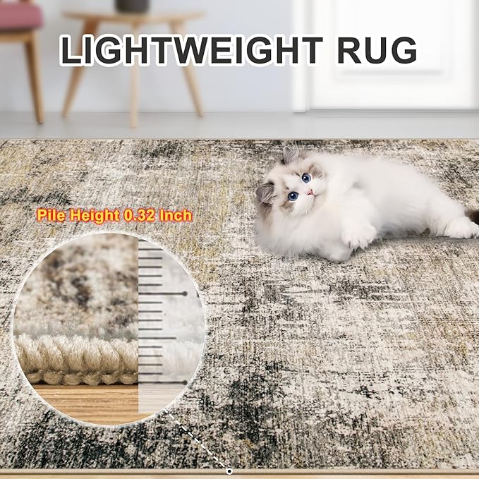 Area Rugs Living Room Rug - Image 4