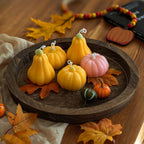 Hanobe Wooden Tray for Coffee Table, Decorative Round Candle Holder Plate