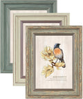 3 Pack 5x7 Picture Frames,Farmhouse Rustic Vintage Photo Frame(Multicolor)