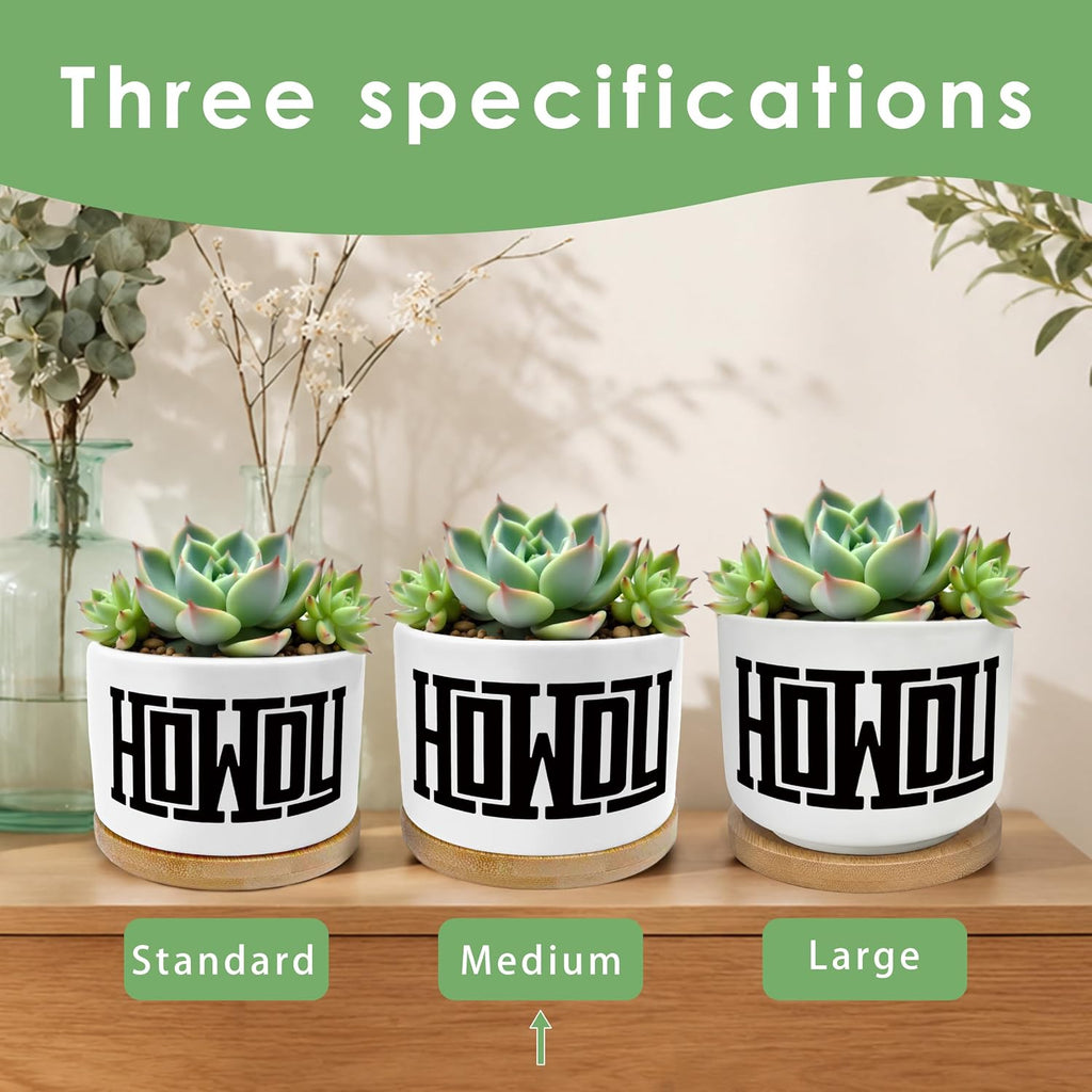 Howdy Western Plant Pots Succulent Planters