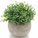 Opps Artificial Plastic Mini Plants Unique Fake Fresh Green Grass Flower in Gray Pot for Home Décor – Set of 3