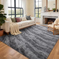 Area Rugs for Living Room, Tie-Dyed 6x9 Feet Soft Fluffy Shagg Plush Rug High by Cuzwlovita