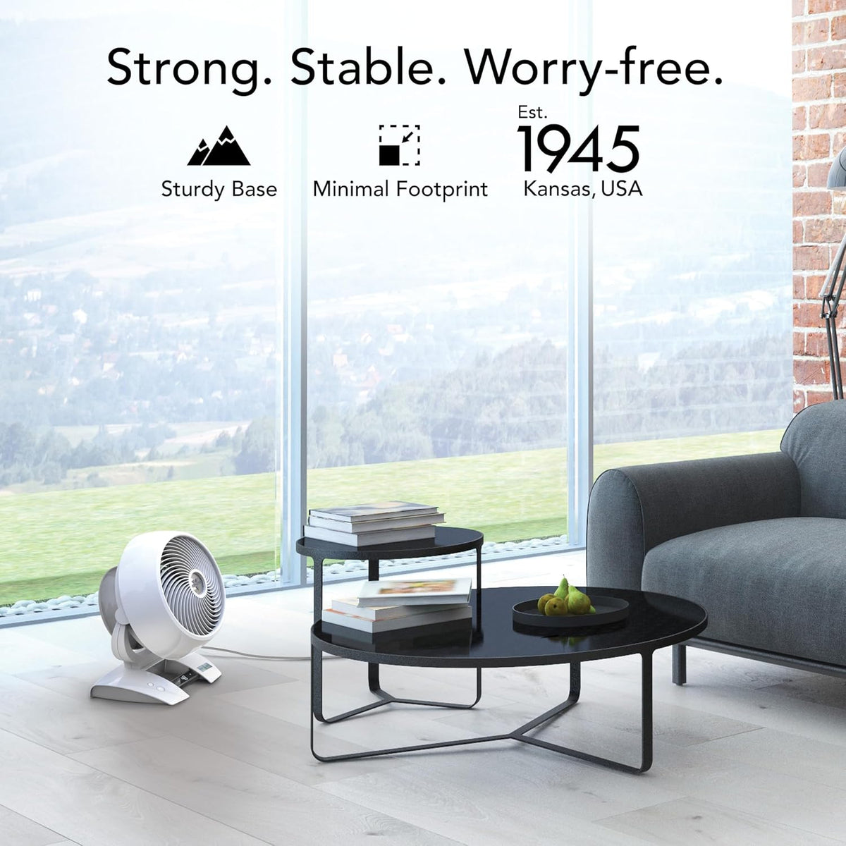 Vornado 6303DC Energy Smart Medium Air Circulator Fan with Variable Speed Control, White