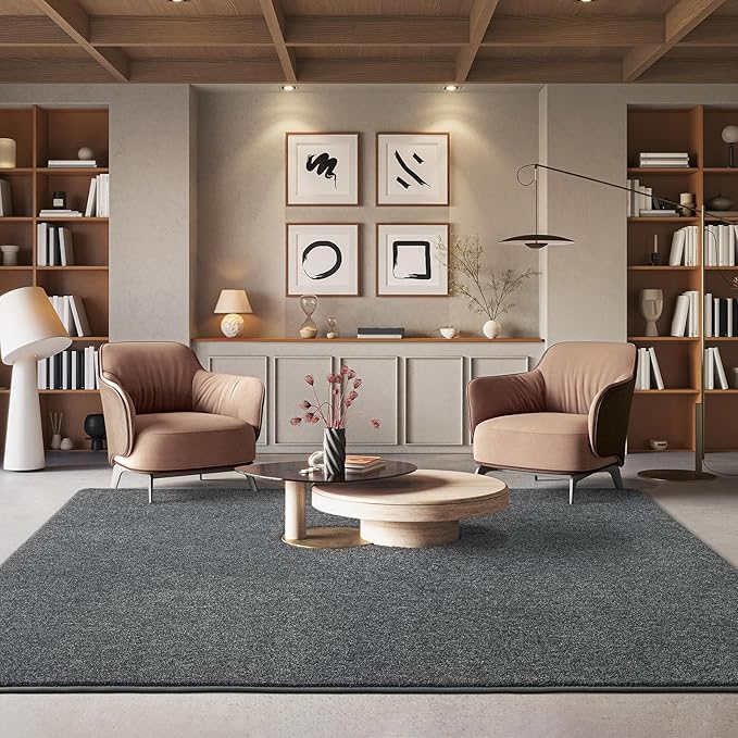 AROGAN Washable 5×7 Living Room Rug, Modern Area Rugs - Image 5
