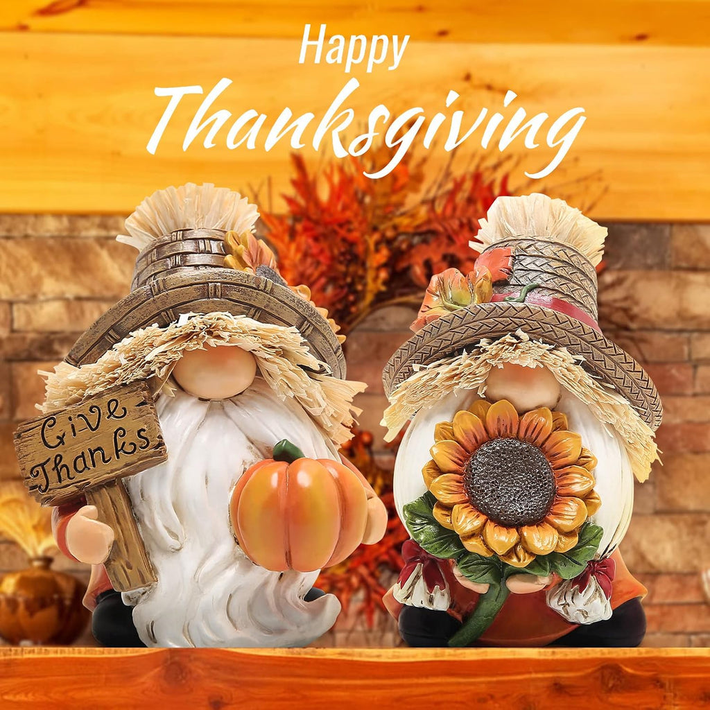 Hodao 2pcs Thanksgiving Gnomes Decor, Fall Decorations for Home