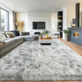 Pionblank 8x10 Rug for Living Room, Fuzzy Plush Large Area Rug, Fluffy Modern by PIONBLANK