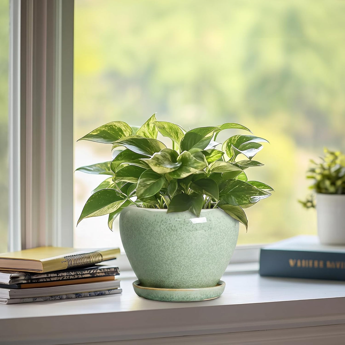 Ceramic Plant Pots 6 Inch, Ceramic Planter with Drainage, Green