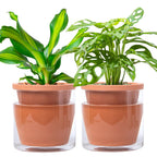 D'vine Dev Self Watering Terracotta Planter Pot, 6 in, 2-Pack, 37-Y-B-1