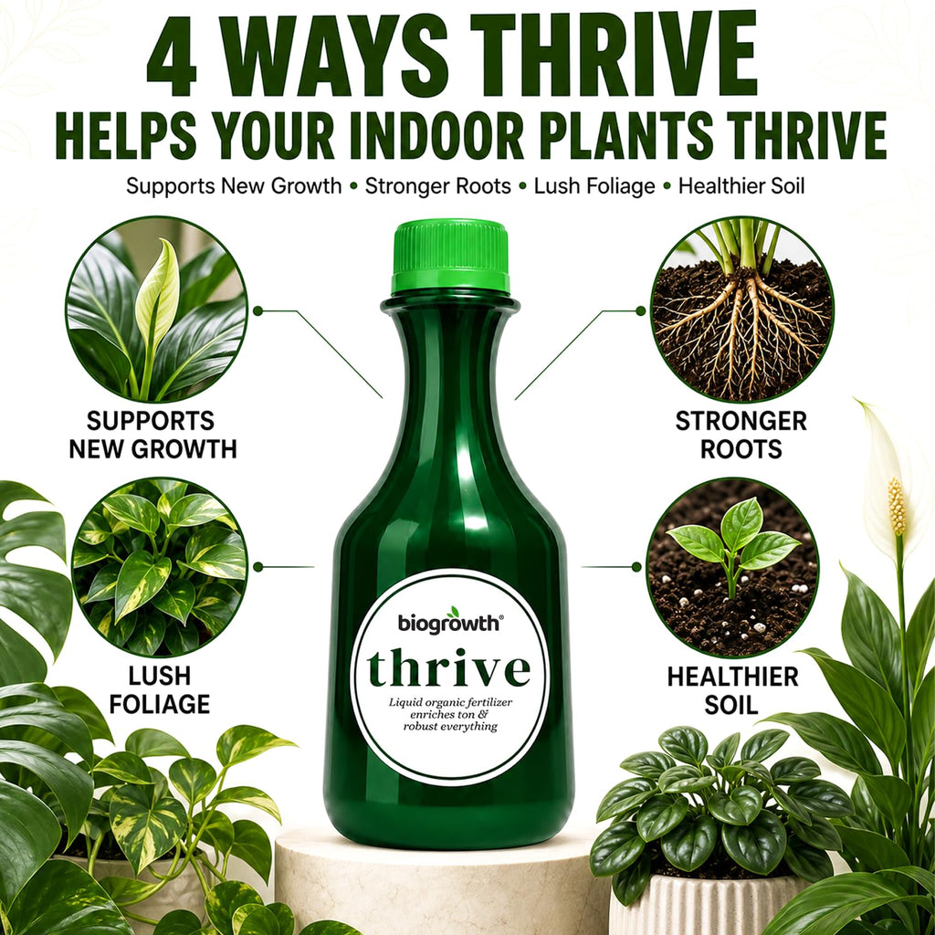Thrive Root & Bloom Plant Food, Enzyme Blend, 8.45 oz