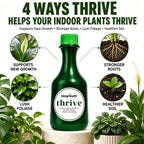 Thrive Root & Bloom Plant Food, Enzyme Blend, 8.45 oz