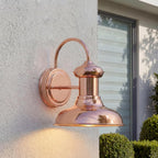 Progress Lighting Brookside Outdoor Wall Lantern Light, Copper