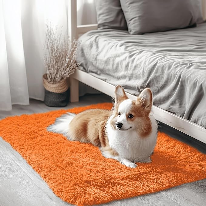OLANLY 2x3 Machine Washable Small Bedside Rug, Soft Fluffy Shaggy Entryway by OLANLY