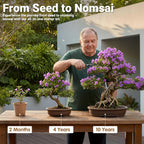 Bonsai Tree Starter Kit for Beginners 5 Unique Indoor Plants