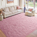 6x9 Ft Large Pink Rugs for Living Room Girls, Shag Fluffy Area Rug for Bedroom by Cuzwlovita