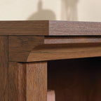 Sauder 2 Tier Book Shelf Wooden Bookcase Multipurpose Bookshelf for Home Office, Living Room, in Oiled Oak