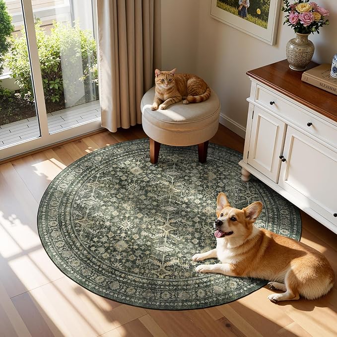 Lofus 4ft Area Rugs for Living Room, Soft Boho Carpets for Bedroom Dining Room - Image 5