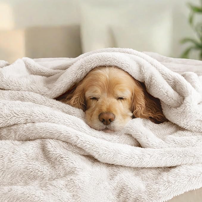 Exclusivo Mezcla Plush Fuzzy Fleece Bed Blanket Queen Size, Super Soft - Image 3