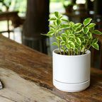 D'vine Dev 4.7 Inch Ceramic Planter Pot, White, 94-O-B-1