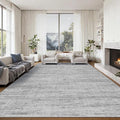 8x10 Area Rugs for Living Room, Modern Abstract Non-Slip Backing Washable Rugs by Unknown