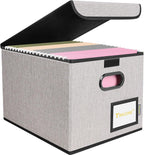 BALEINE File Organizer Box with Lid, Collapsible Hanging File Storage Box