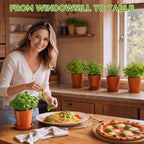 Herb Garden Kit, Indoor Herb Garden Starter Kit with Pots & Herb Seeds, Beautiful Gift Box, Gardening Gift for Women & Mom, Birthday, Christmas & Housewarming