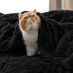 Bedsure GentleSoft Fluffy Black King Size Blanket - Image 8