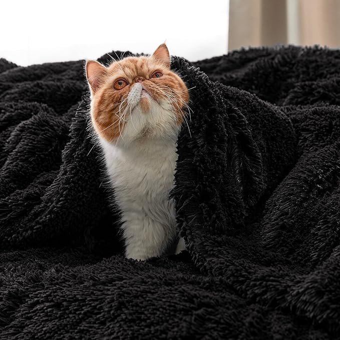 Bedsure GentleSoft Fluffy Black Blankets Queen Size - Image 9