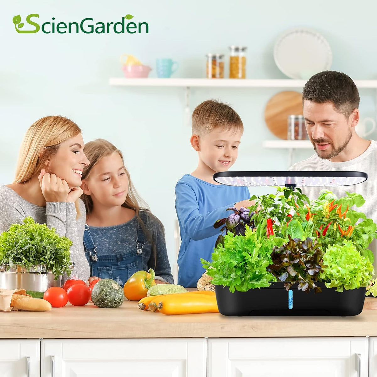 Hydroponics Growing System Kit 12 Pods Indoor Herb Garden with Grow Light