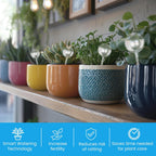 Plant Watering Globes 4 Pack – Self Watering Bulbs for Plants, 200ml Medium