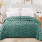 Exclusivo Mezcla Twin Size Flannel Fleece Blanket, Super Soft and Warm - Image 3