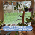 2 Pack 12 Inch Acrylic Window Boxes Plant Shelves, with Suction Cup Window Sill Extender, for Indoor/Outdoor Succulents, Micro Greens, Seed Starter Pots, Herb Planters