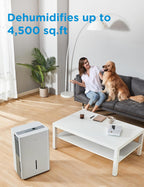 Midea 4,500 Sq. Ft.Dehumidifier for Basement, With Reusable Air Filter 50 Pint - Ideal For Basements, Large & Medium Sized Rooms, And Bathrooms (White)