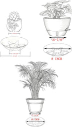 15 Pack Assorted Sizes 6 8 10 Inch Clear Thick Plastic Heavy Duty Sturdy Plant Saucer Drip Trays for pots, 5 Pieces of Each Size (Assorted Sizes 6'', 8'', 10'')