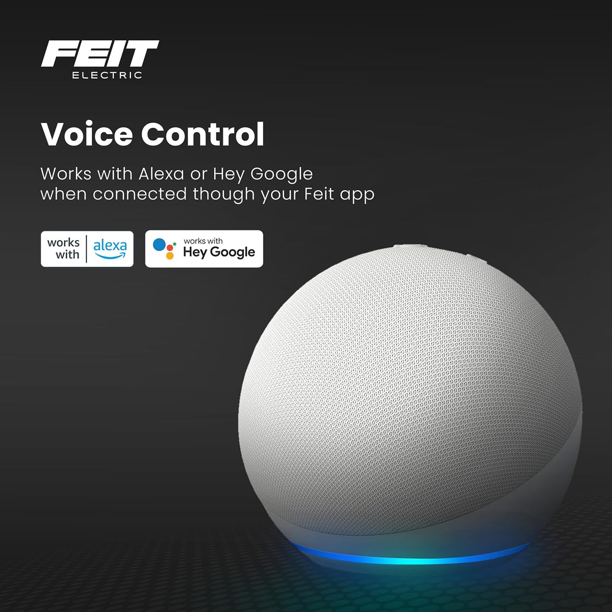 Feit Electric Smart Wi-Fi Plug, Works with Alexa and Google Home