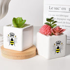 Bee Succulent Planter Flower Plant Pot Small, Gifts for Women Teens Girls Kids, Bee Lovers Themed Stuff Accessories Things Decor Merch, Home Office Table Desk Decoration!